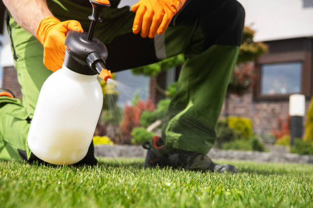 Best Wasp Removal Services  in Halsey, OR