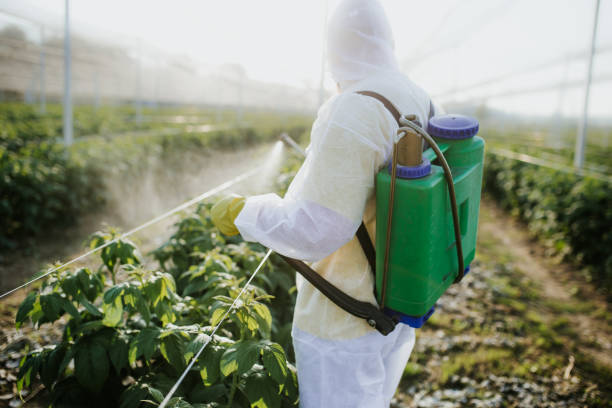 Best Bed Bug Extermination  in Halsey, OR
